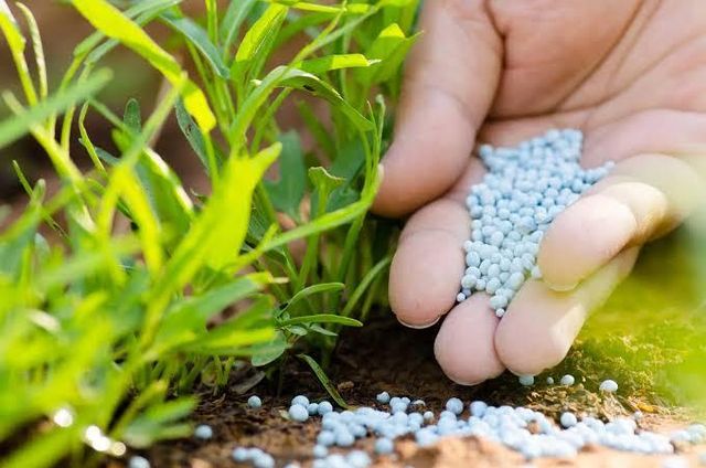 Premium Wholesale Nitrogen Fertilizer Urea 46% N Fast Release Agricultural Fertilizer for Vegetables Crops and Farms - Image 4