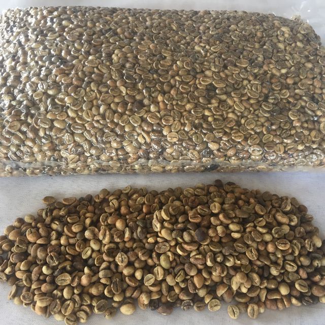 ROBUSTA GREEN COFFEE BEANS SERUNAI 100% Natural Hot Selling Indonesian Best Quality with Reasonable Best Price – product photo 1, product detail gallery