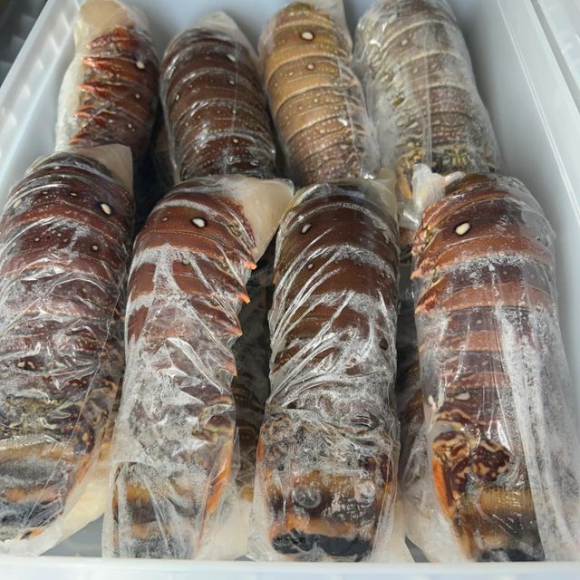 Factory sourced frozen lobster tails available for ongoing bulk demand Bulk supply frozen lobster tails - Image 4