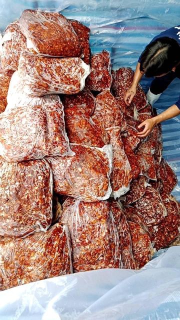 NATURAL FRESH TAMARIND FOR JUICE & DRINK VIETNAM BEST SELLING TAMARIND PACK IN BLOCK EXPORT STANDARD TAMARIND WITH/WITHOUT SEED - Image 4