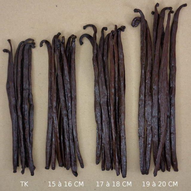 VANILLA BEANS Grade AA Origin Indonesia Shape Beans, LONG Imported Imported Type VANILLA BEANS Length (13 – 15)cm Packaging 15 KG BOS - Image 3