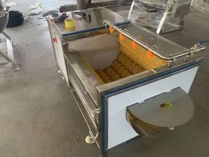 Yam Lotus Root Potato Hair Roller Cleaning Peeling Machine - Image 4