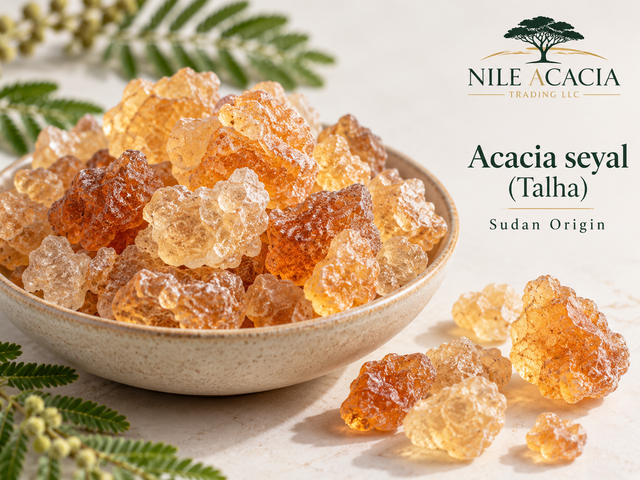 Sudan-Origin Gum Arabic – Acacia seyal (Talha) – Natural Gum, Eurofins Tested - Image 2