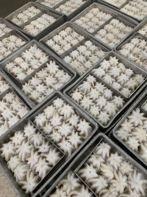 Frozen Baby Octopus Whole Cleaned (Single Skin/ iidako) Origin Vietnam Place of Origin Vietnam Weight (kg) 100% net weight - Image 3