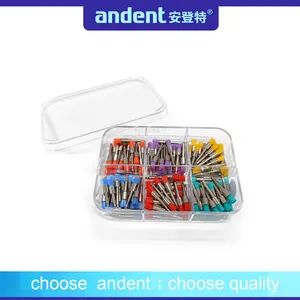 Premium Quality Colorful Teeth Polishing Prophy Brushes Sample Free Origin China Model NO. PB02 Material Nylon Materials - Image 4