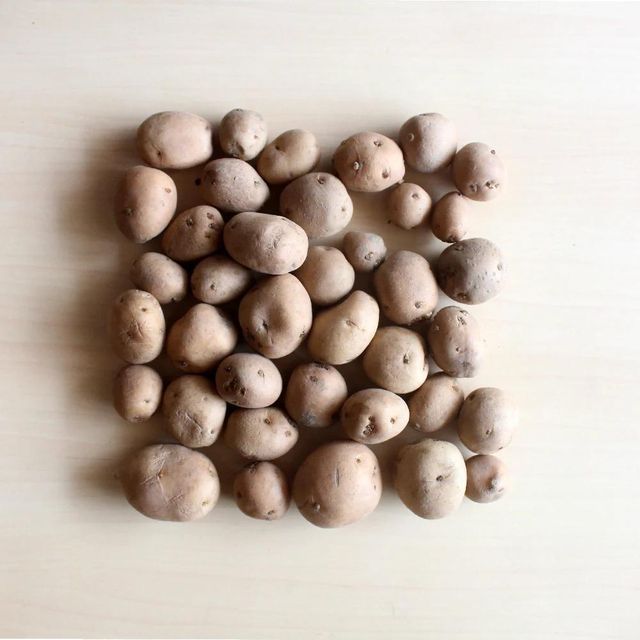 Fresh Potatoes Carefully Selected Premium Potatoes For Wholesale Traders And Retailers - Image 1