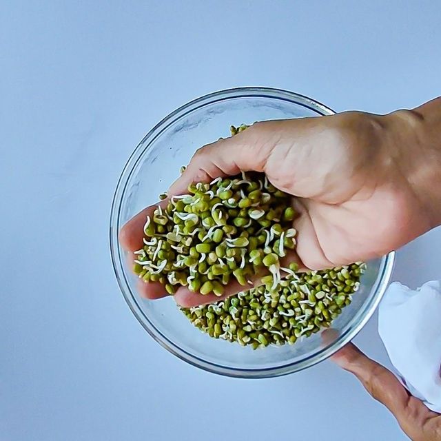 Natural Green Mung Beans for Sale Bulk Green Mung Beans Premium Quality Healthy Protein Rich Legume Product - Image 4