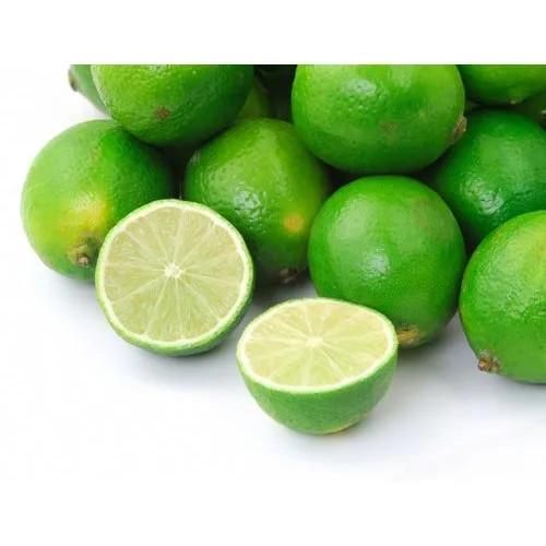 Fresh Lemon Fruits Top Sales Natural Citrus From Vietnam Best quality wholesale Seedless Green Lime Premium Quality - Image 4