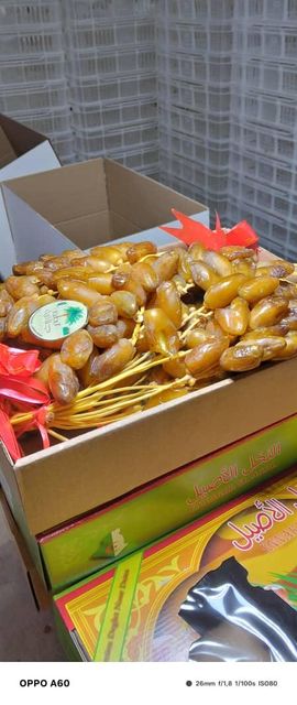 Premium Algerian Dates Deglet Nour 2026, DRIED DATES Grade A, Packaging 5KG Brand Name AGROBDT Technical Specification According to CODEX STAN 143-1985 & ISO 16649-2 - Image 3