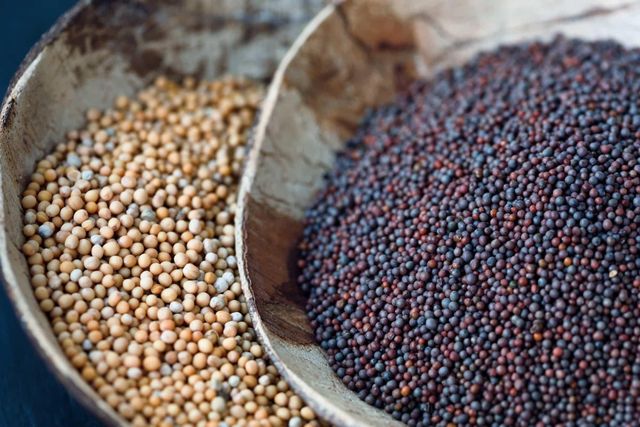 Mustard Seeds Purity Min. 99% Moisture Max. 8% Broken Damaged Max. 1% Packaging Size 25 kg pp bag Admixture Foreign Matter Max. 1% - Image 3