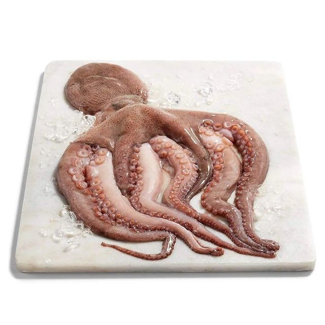 Frozen Fresh Octopus Premium Seafood Selection With Tender Texture And High Protein Content For International Buyers - Image 3