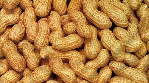 peanuts-with-shell - Image 1