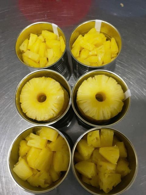 Premium Canned Pineapple Slices Chunks Tidbits in Syrup Bulk Packing for Wholesale Export - Image 2