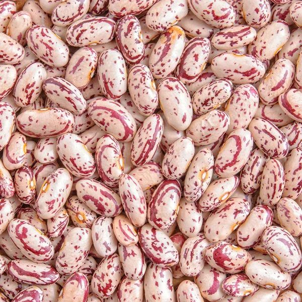 We offer premium-grade Speckled Brown Sugar Beans, also known as Pinto Beans bulk - Image 4
