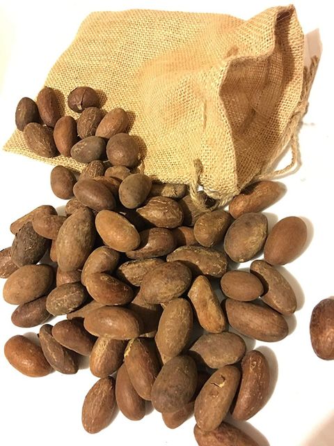 BUY BITTER KOLA Online | Premium Quality Grade AA Shelf Life 6 Packaging 50 KG Max. Moisture (%) 12 Cultivation Type - Image 3