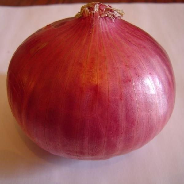 RED ONION - Image 3