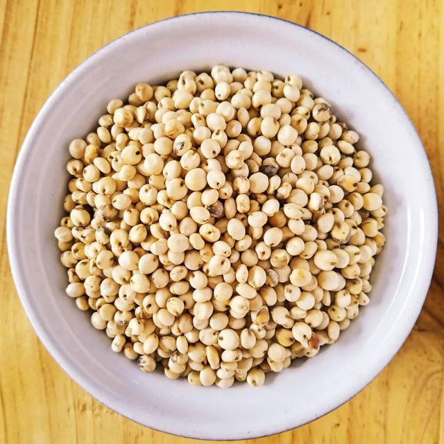 Factory Price White Sorghum Ready For Wholesale Distribution And Export - Image 2
