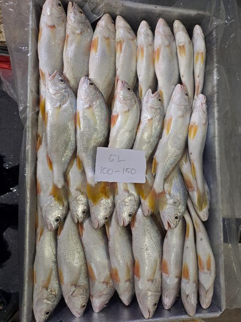 red mulet fish amd yellow croaker fish - Image 4