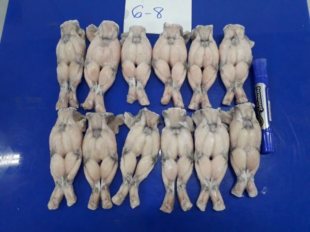 Top quality Vietnam Frozen Frog Leg bull packing/ vacuum packing IQF saddle on belly off - Image 5