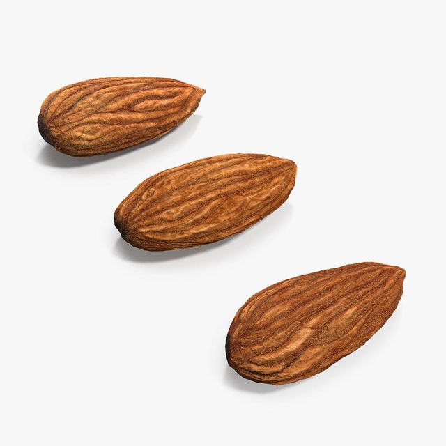 Natural Blanched Almond Nuts Processed Kernel Using Advanced Packing Methods For International Importer - Image 4