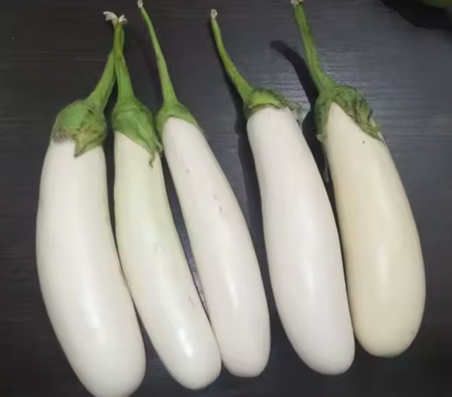 Fresh eggplant Packaging - Image 2
