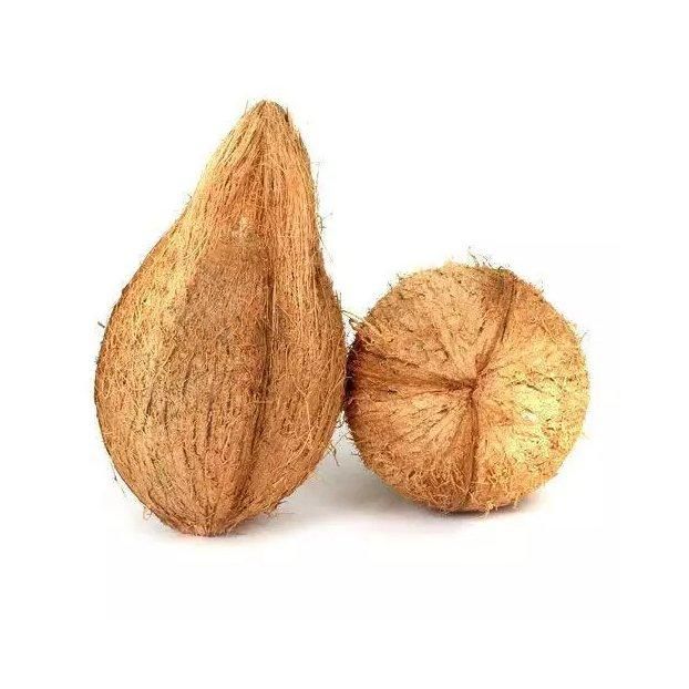 High grade fresh coconut prepared for large quantity bulk sale demand - Image 4