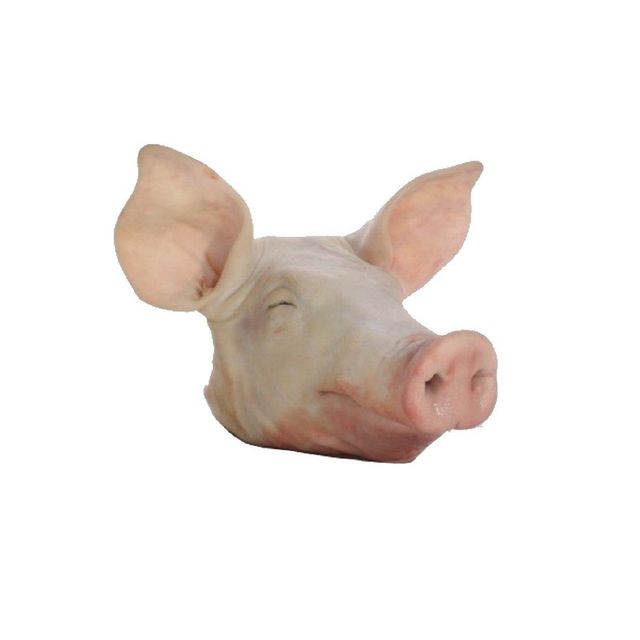 Brazil Origin Frozen Processing Fresh Pork Head Meat Cheap frozen meat halal pork meat Buy Frozen Pork Head directly For Sale BEST Frozen Pork Head in Cheap price For Sale HIGH QUALITY FROZEN Pork Head READY FOR SHIPMENT BRAZIL ORIGIN Brazil Frozen Pork Head for sale - Image 4