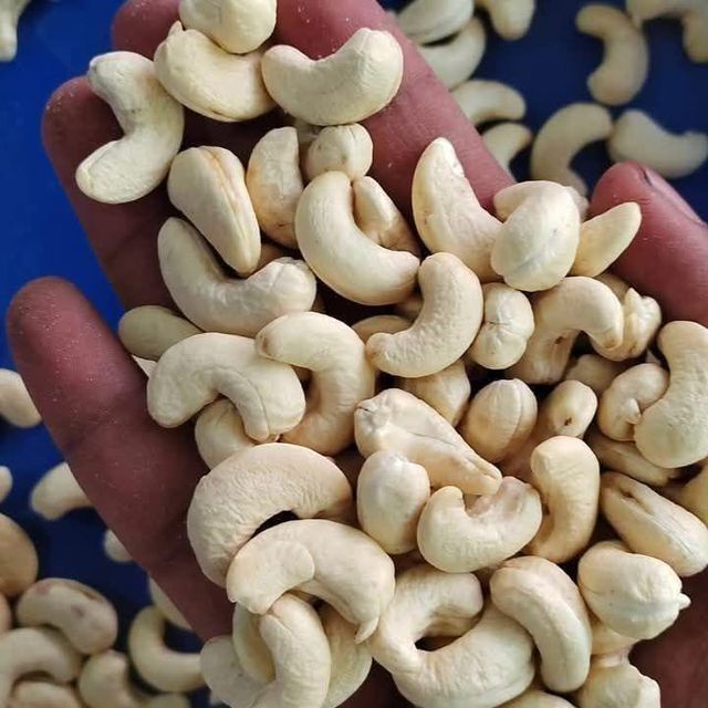 Premium Cashew nut kernels - Image 4