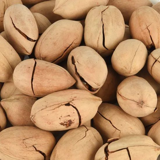 Hot Sales Nutritious High Quality Pecan - Image 5