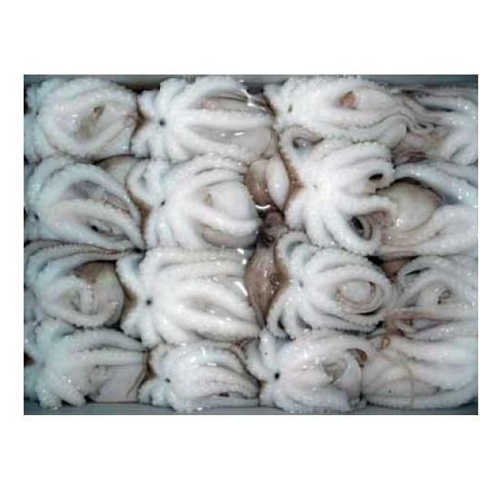 Hot Sale Fresh Frozen Octopus all sizes Cut Other Freshness Level Frozen Degree of Processing Other Features No Artificial Flavors, No Preservatives, Organic - Image 4