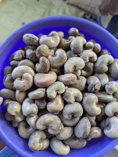 Organic Raw Cashew Nuts - Image 1