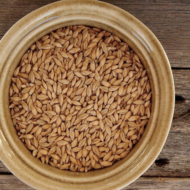 Natural Barley Grain With Smooth Texture Premium Barley Grain Available For Bulk Purchase And Large Orders - Image 3