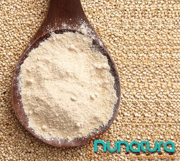 Quinoa powder fluor Appearance Powder Shelf Life 2 years Packaging 25 Kg bag Place of Origin Peru Odor And Taste Characteristic - Image 1