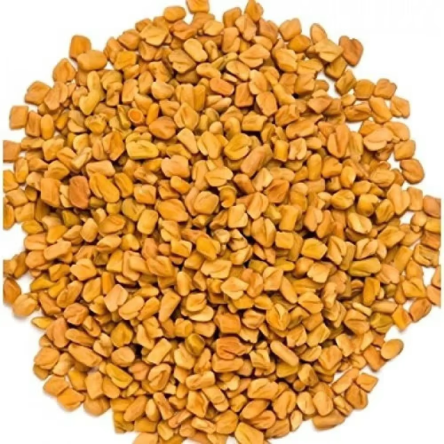 Bulk Fenugreek Seeds – Natural, Cleaned, and High Purity Spice Ingredient for Food Industry, Herbal Remedies, and Commercial Use, Offering Strong Flavor Profile, Excellent Shelf Stability, and Consistent Quality Control, Suitable for Wholesale Distribution, Export Markets, and Large Scale Production Requirements with Custom Packaging and Private Label Options ensuring dependable supply and freshness - Image 2