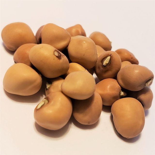 Naturally Processed Black Eyed Peas For Large Food Supply Chains And Reliable Global Distribution Of Black Eyed Peas - Image 3