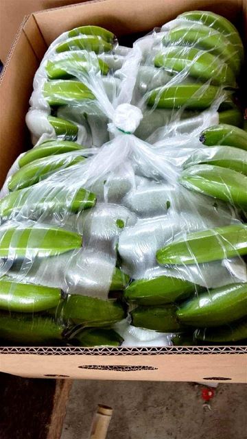Fresh Cavendish Bananas - Image 5