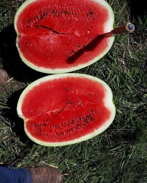 Watermelon🍉 Grade 1 Form Egypt Texture Juicy Flavor Naturally Sweet And Hydrating Packaging Package: As per client requirements - Image 1