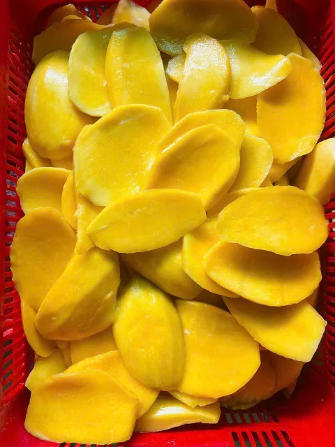 Premium Soft Dried Mango Slices Wholesale - Image 3