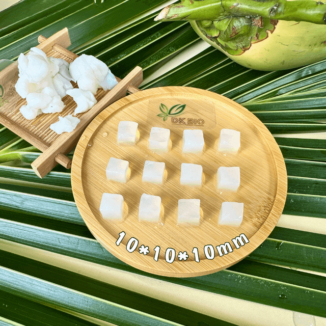 COMPRESSED NATA DE COCO size 10*10*10mm - CAN-10 - Image 5
