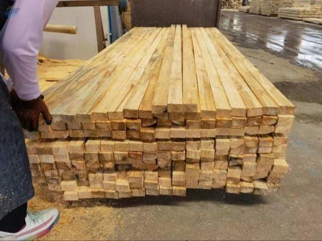 Cheap Soft Wood Pine Spruce - Image 1