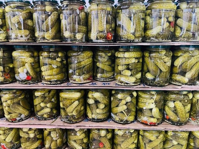 TOP QUALITY PICKLED CUCUMBER / PICKLED BABY CUCUMBER 3-6cm / CANNED PICKLE CUCUMBER JARS - Whatsapp 0084 989 322 607 - Image 4