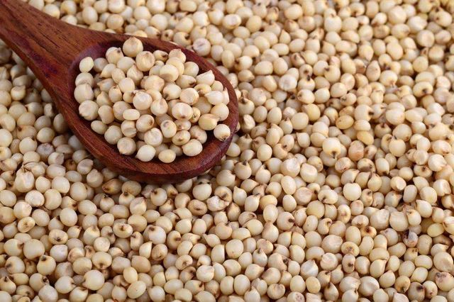Factory Price White Sorghum Ready For Wholesale Distribution And Export - Image 3