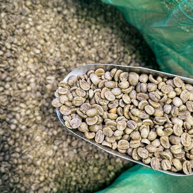 Natural Green Coffee Arabica With Appealing Aroma And Flavor Suitable For Espresso Brewing Filter Coffee And Blending - Image 4