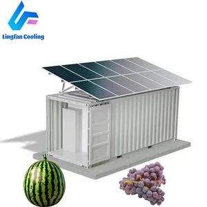 Eco-Friendly Solar Refrigeration System with Advanced Cooling Technology - Image 3