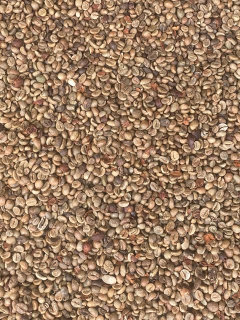 Robusta Grade 1 – product photo 1, product detail gallery