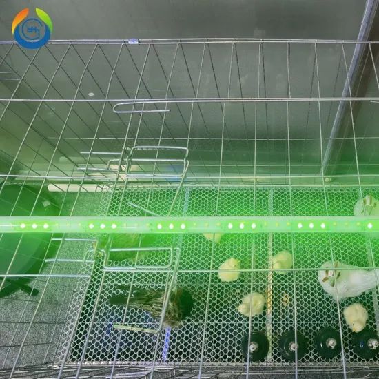 IP67 50000h Three-Color Dimmable LED Poultry Light Tube for Chicken Farming - Image 3