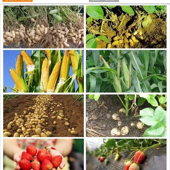 Organic Bulk Liquid Potassium Fertilizer - Image 6