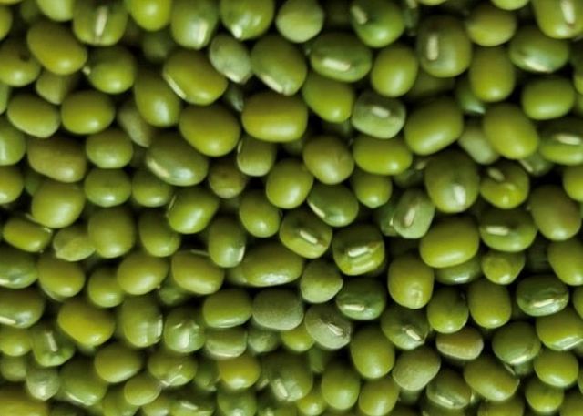 Green Mung Bean Size 3.5 Style Fresh Weight (kg) 25 Type Green Beans Brand Name Custom Address Bangladesh Shelf Life 2 - Image 5