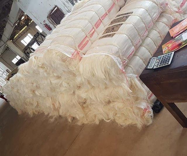 Sisal Fibre : Raw White, Natural, 110-130 cm, 0.35 Micron, For fabric Suppliers - Image 4