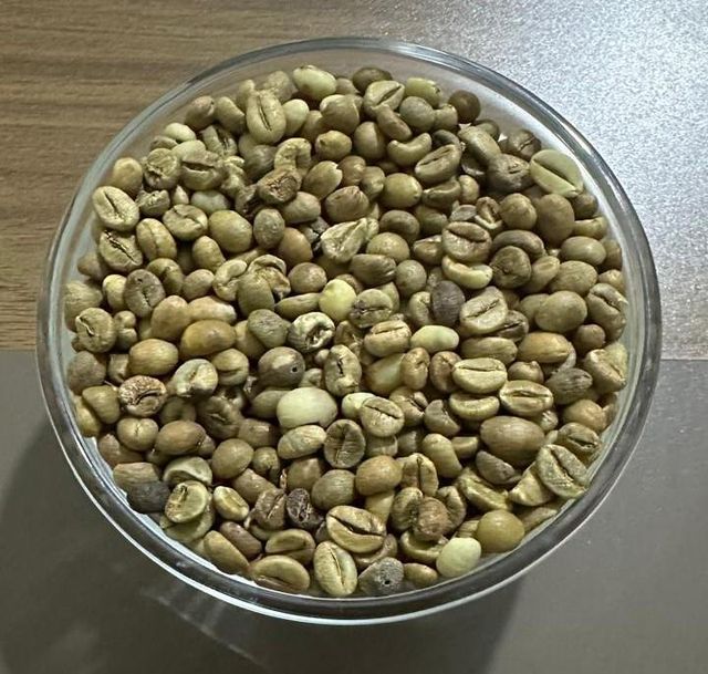 Robusta Coffee Beans – product photo 4, product detail gallery